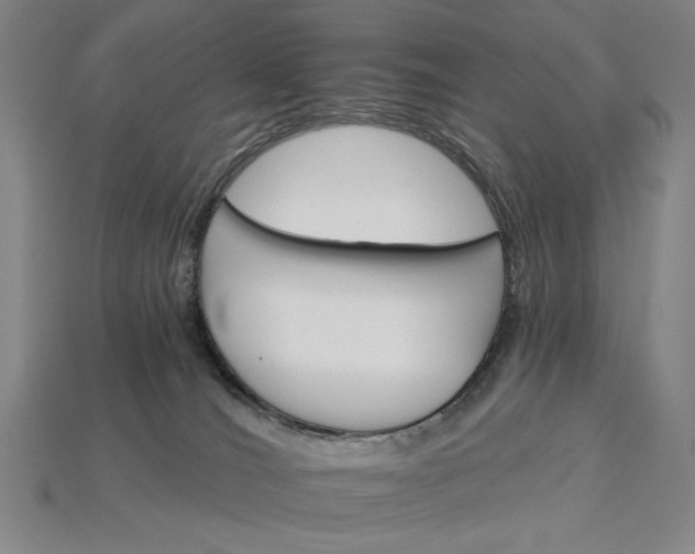 X0000115270036200911131817