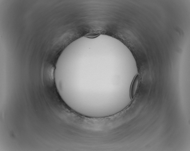 X0000115270041200911131817