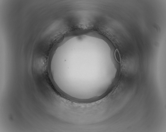 X0000115270043200911131817