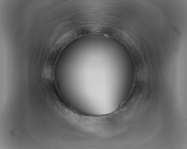 X0000115270044200911131817