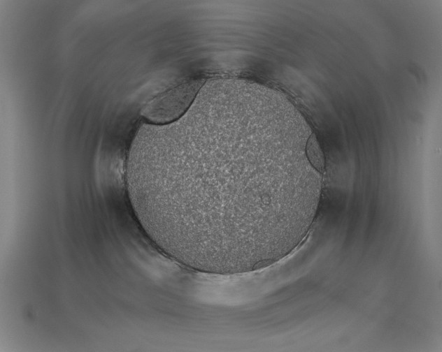 X0000115270045200911131817