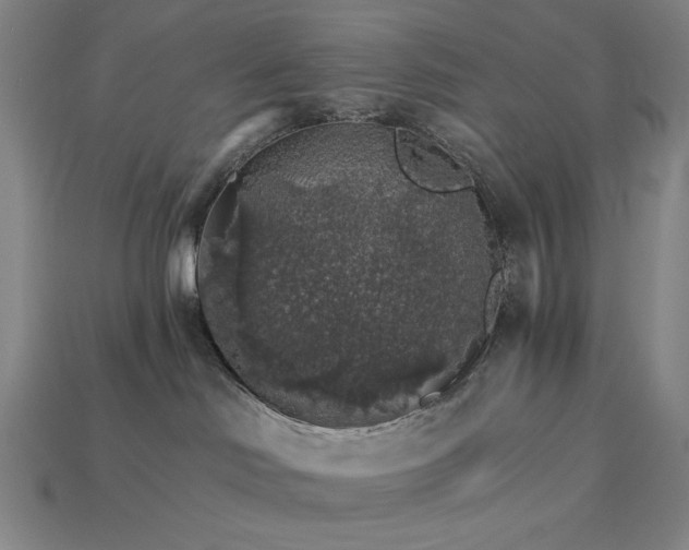 X0000115270046200911131817