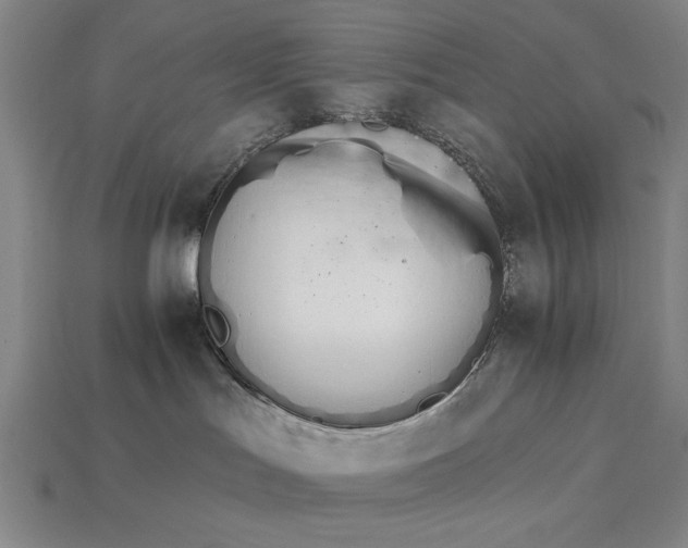 X0000115270047200911131817