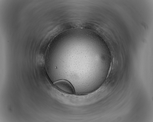 X0000115270048200911131817