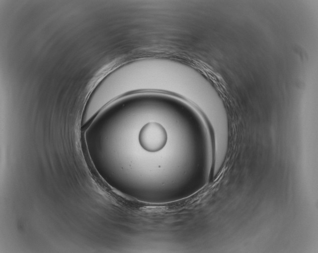 X0000115270051200911131816