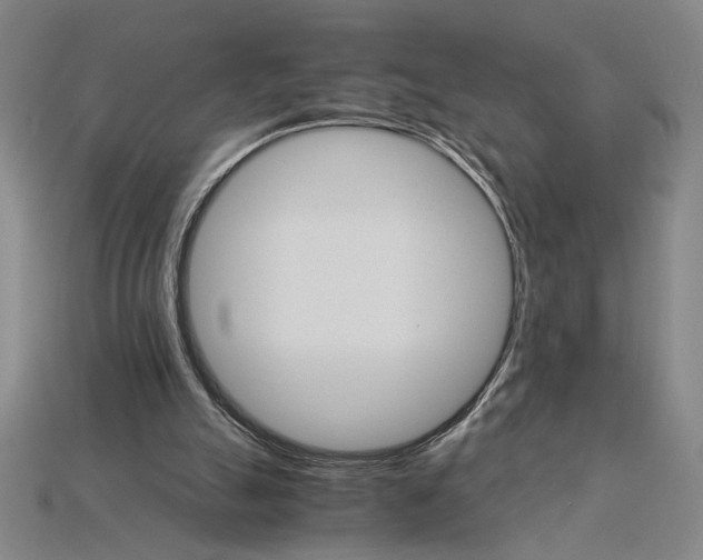 X0000115270055200911131816