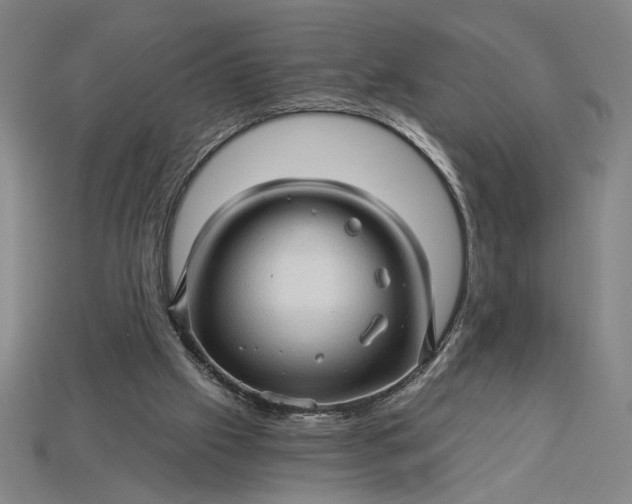 X0000115270057200911131816