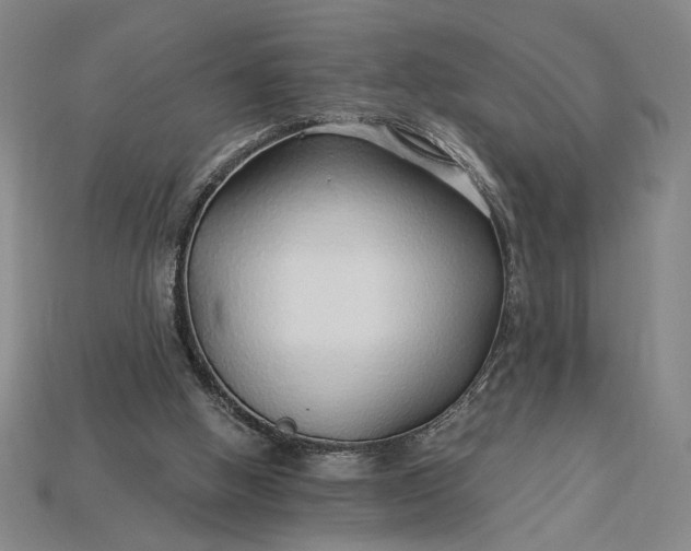 X0000115270058200911131816