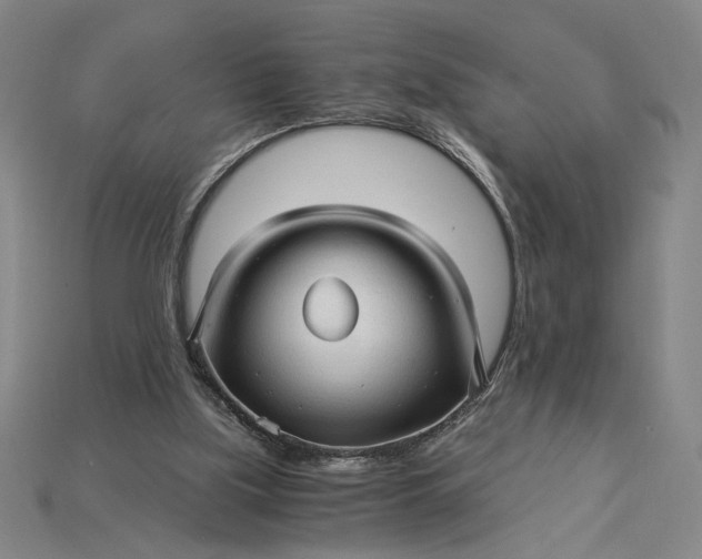 X0000115270059200911131816