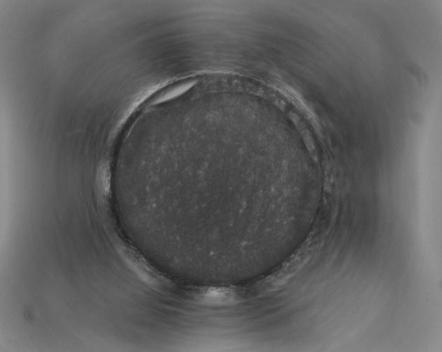 X0000115270060200911131816