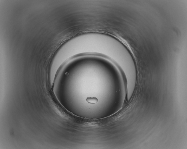 X0000115270061200911131816