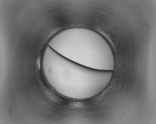 X0000115270062200911131816