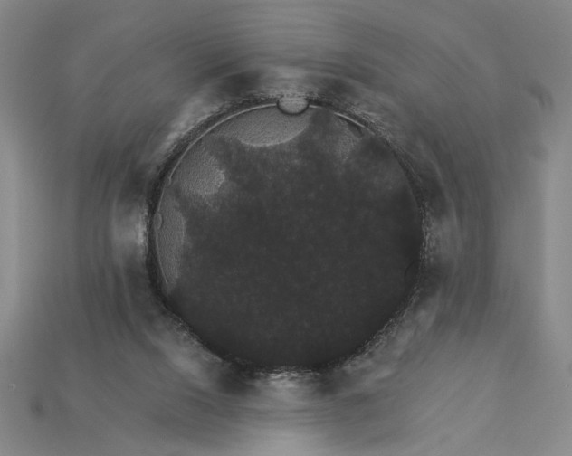 X0000115270064200911131816