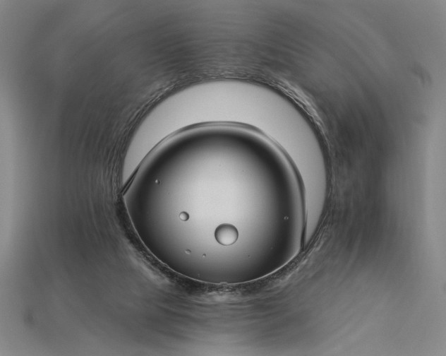 X0000115270065200911131816