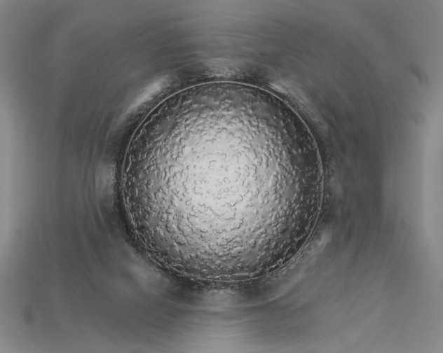 X0000115270066200911131816