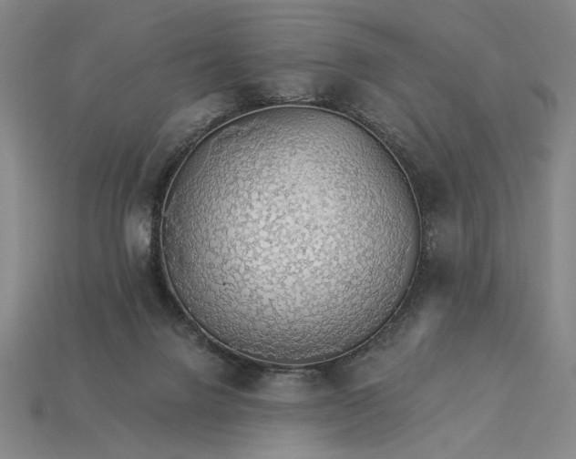 X0000115270072200911131816
