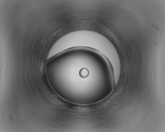 X0000115270073200911131816