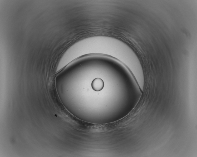 X0000115270077200911131816