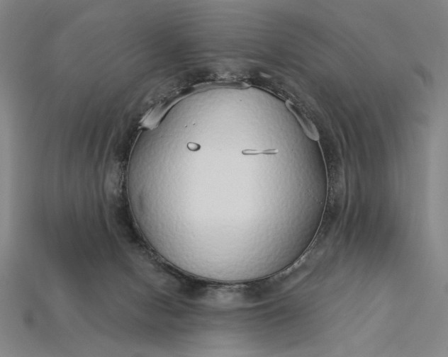 X0000115270078200911131816