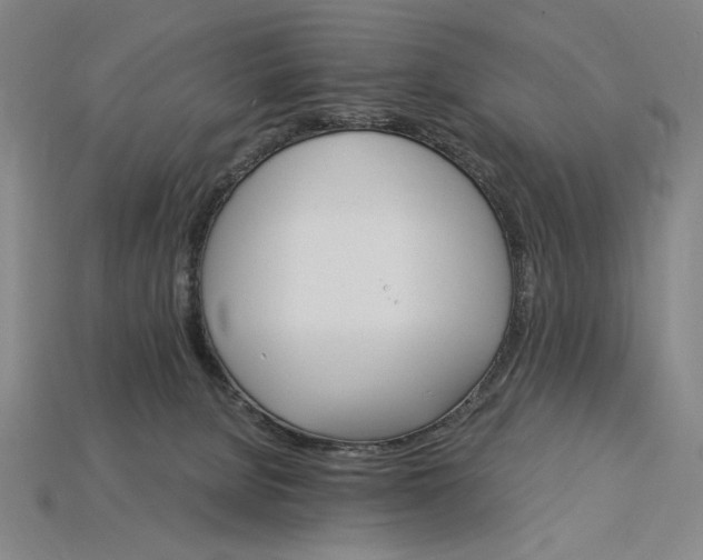 X0000115270080200911131816