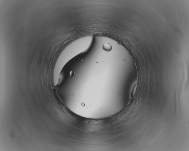 X0000115270081200911131816