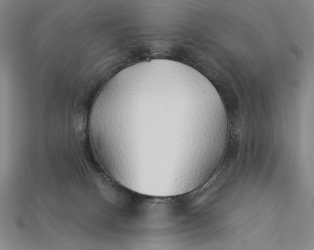 X0000115270082200911131816