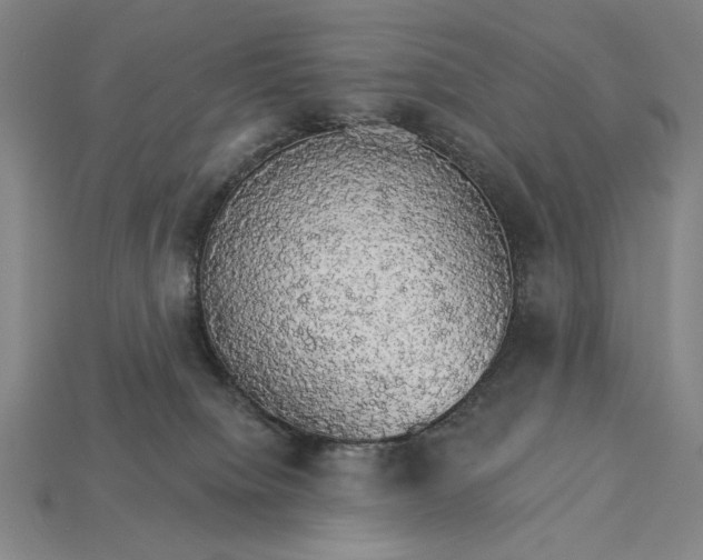 X0000115270084200911131816