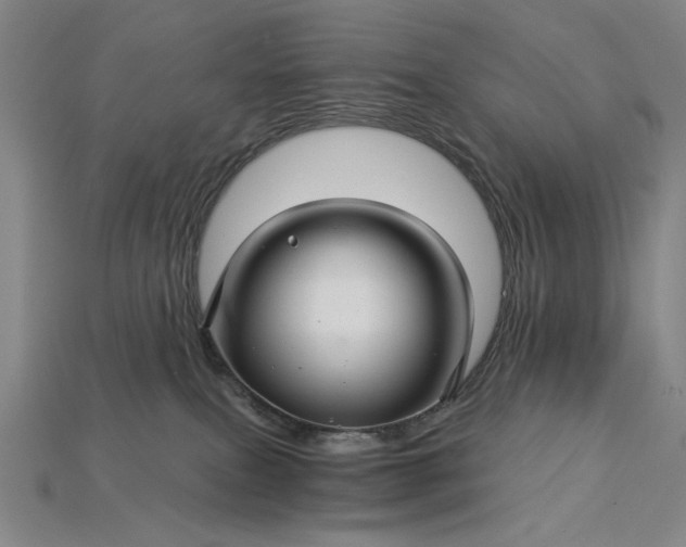 X0000115270087200911131816