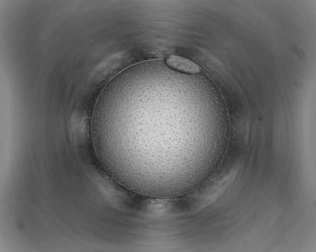 X0000115270088200911131816