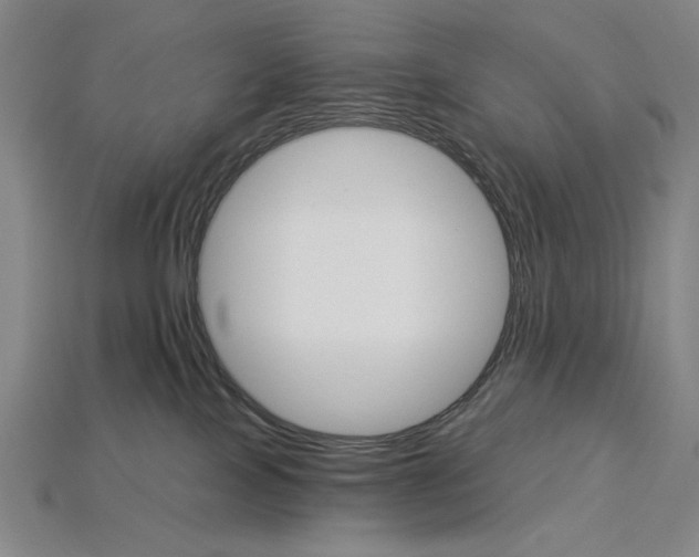 X0000115270089200911131816