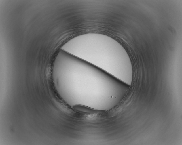 X0000115270092200911131817