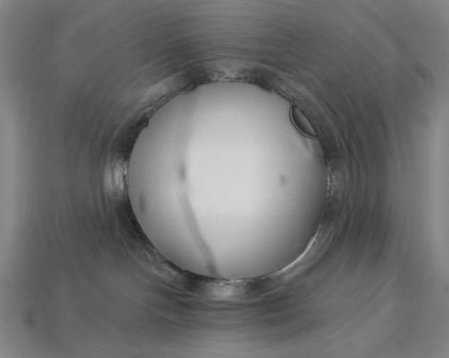 X0000115270094200911131817