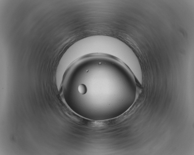 X0000115270095200911131817