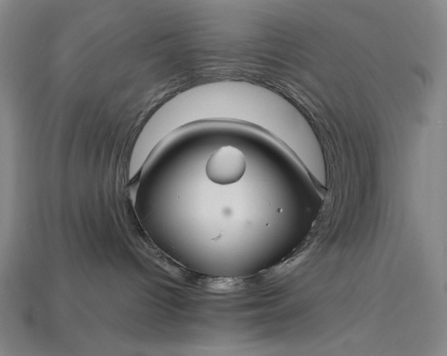 X0000115270096200911131817