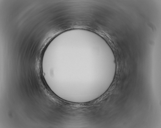 X0000115270098200911131816
