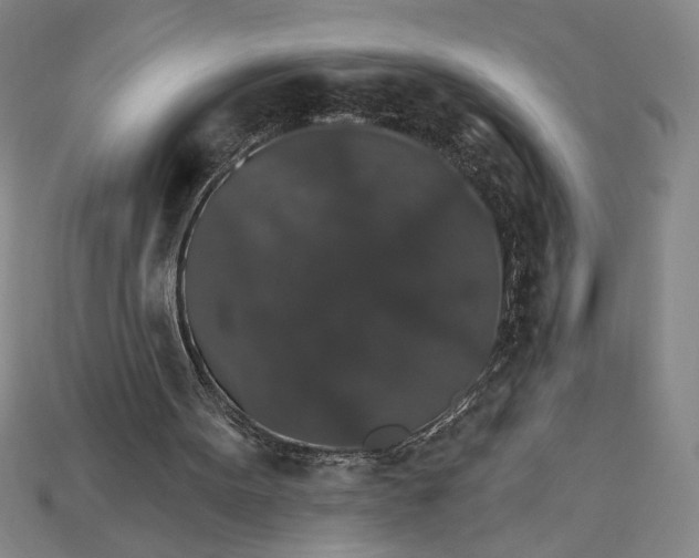 X0000115270099200911131816