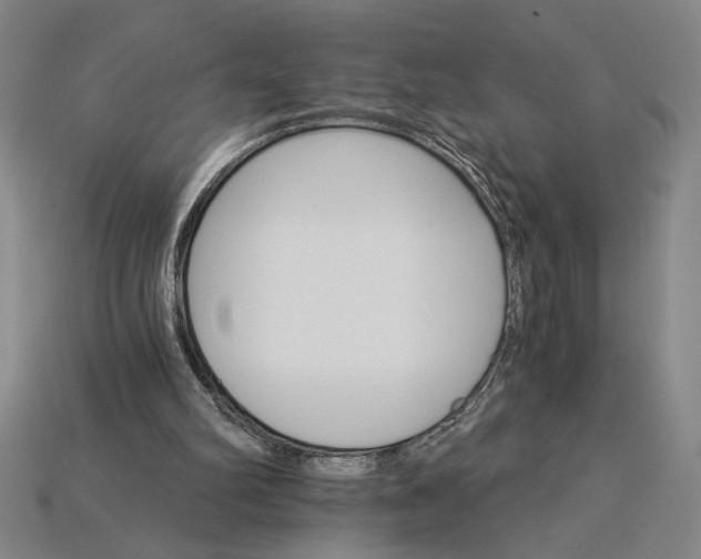 X0000115270102200911131816