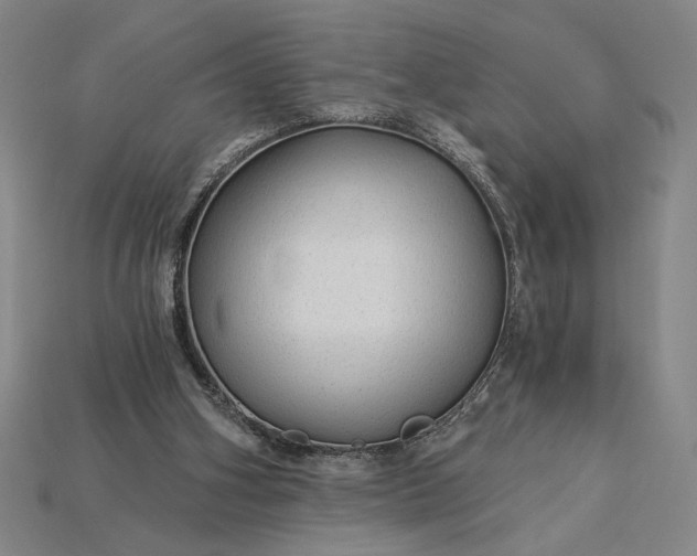 X0000115270106200911131816