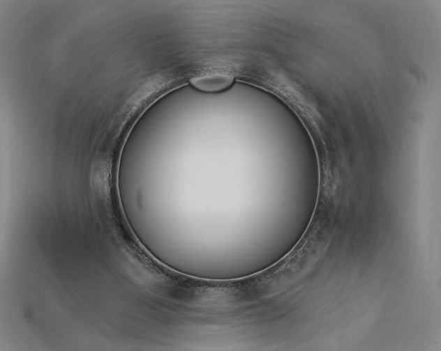 X0000115270107200911131816