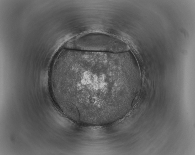 X0000115270108200911131816