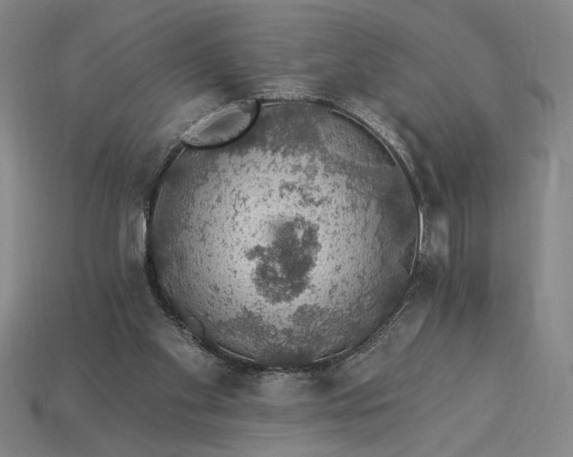 X0000115270109200911131816