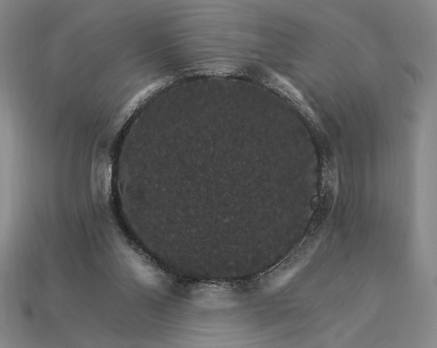 X0000115270110200911131816