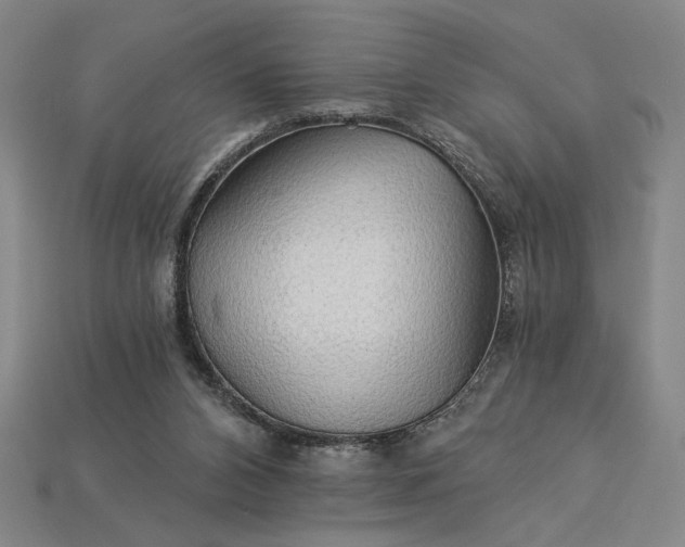 X0000115270112200911131816