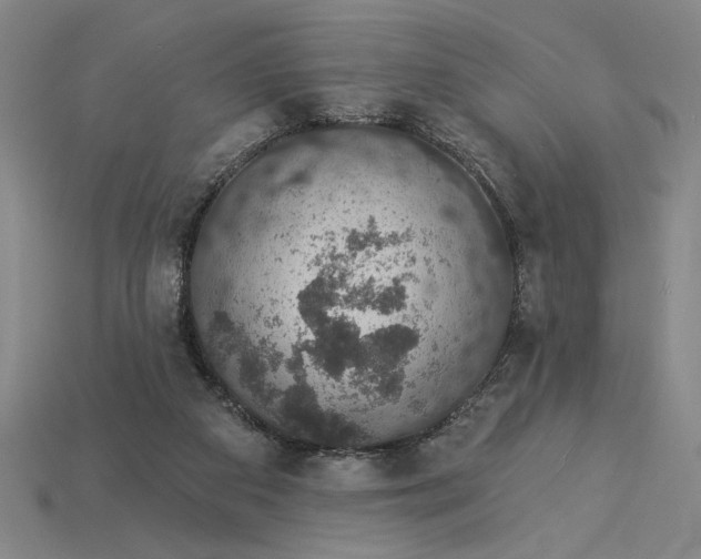 X0000115270113200911131816
