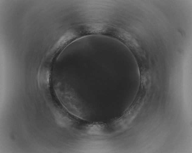 X0000115270115200911131816