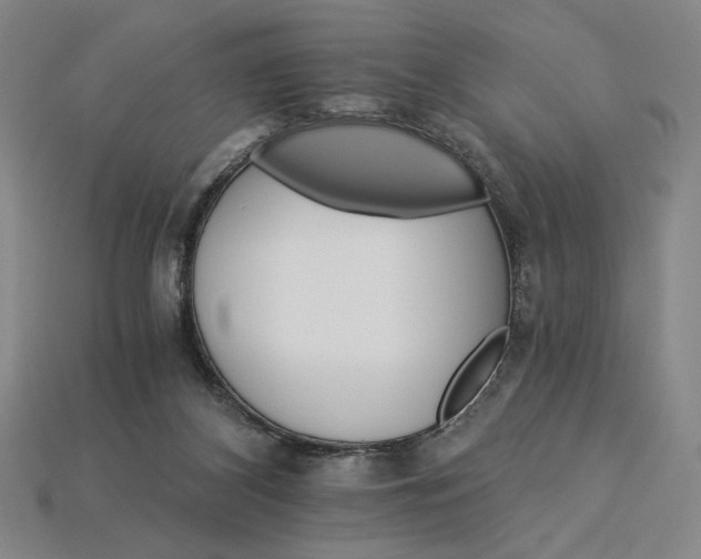 X0000115270116200911131816
