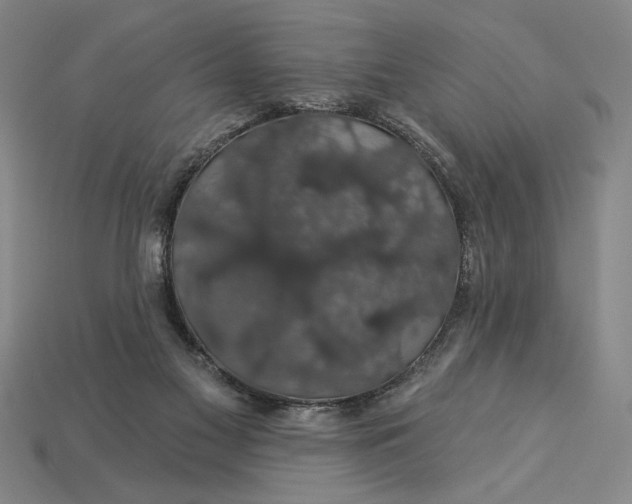 X0000115270117200911131816