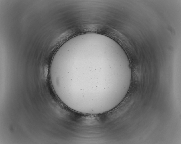 X0000115270118200911131816
