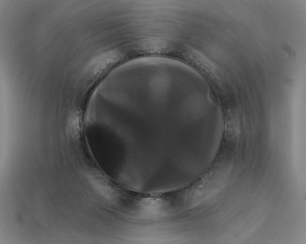 X0000115270119200911131816