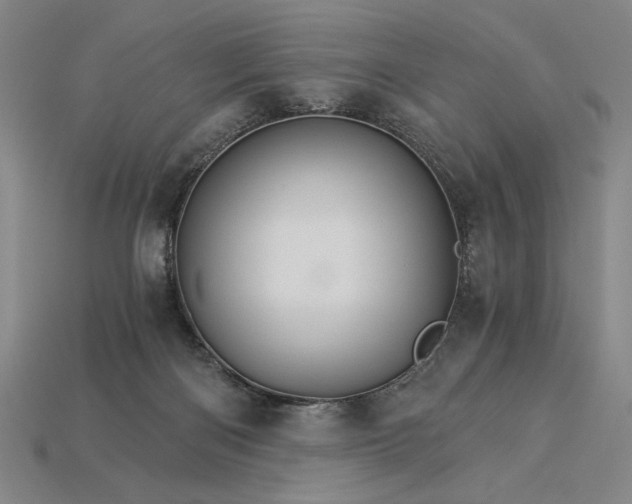 X0000115270122200911131816